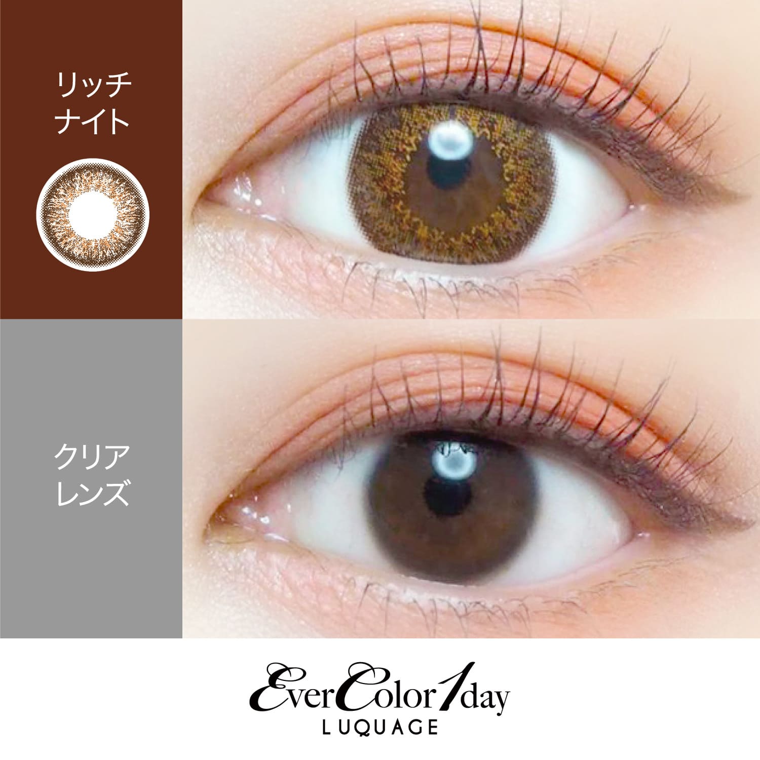 【リッチナイト】EverColor 1day LUQUAGE エバーカラー ワンデー ルクアージュ 10枚[AISEI] 画像2