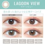 【ラグーンビュー】EverColor 1day LUQUAGE　エバーカラー ワンデー ルクアージュ 10枚[AISEI] 画像3