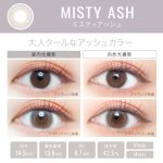 【ミスティアッシュ】EverColor 1day LUQUAGE エバーカラー ワンデー ルクアージュ 10枚[AISEI] 画像3