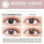 【モダンラベージュ】EverColor 1day LUQUAGE エバーカラー ワンデー ルクアージュ 10枚 [AISEI] 画像3
