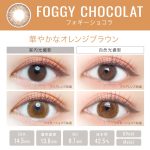 【フォギーショコラ】EverColor 1day LUQUAGE エバーカラー ワンデー ルクアージュ 10枚[AISEI] 画像3