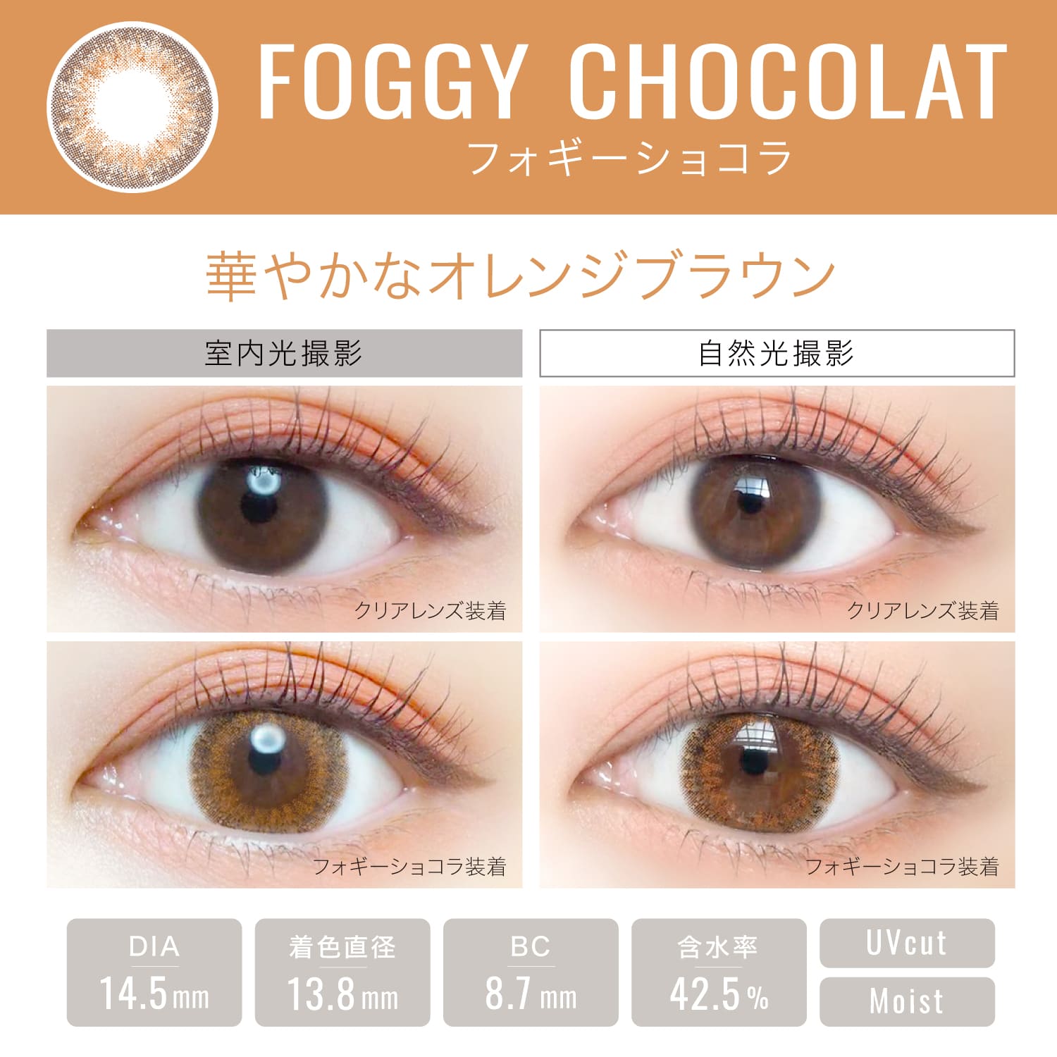 【フォギーショコラ】EverColor 1day LUQUAGE エバーカラー ワンデー ルクアージュ 10枚[AISEI] 画像3