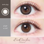 【テディモカ】Ever Color 1day Natural 1day エバーカラーワンデーナチュラル ワンデー 1箱20枚入り［AISEI］ 画像2