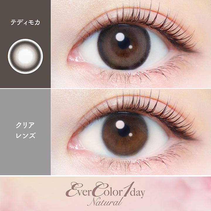 【テディモカ】Ever Color 1day Natural 1day エバーカラーワンデーナチュラル ワンデー 1箱20枚入り［AISEI］ 画像2