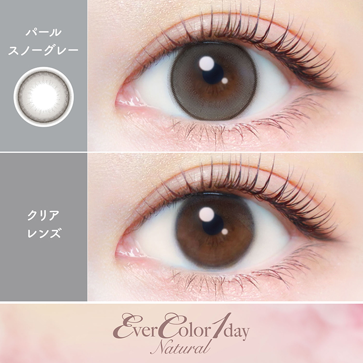 【パールスノーグレー】Ever Color 1day Natural 1day エバーカラーワンデーナチュラル ワンデー 1箱20枚入り[AISEI] 画像2