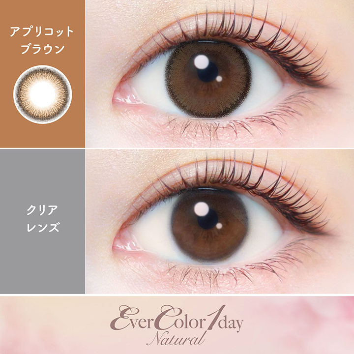 【アプリコットブラウン】エバーカラーワンデーナチュラル 20枚［AISEI］ 画像2