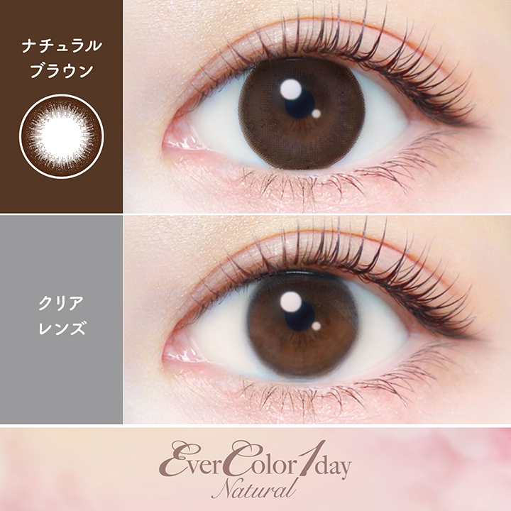【ナチュラルブラウン】エバーカラーワンデーナチュラル 20枚［AISEI］ 画像2