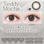 【テディモカ】Ever Color 1day Natural 1day エバーカラーワンデーナチュラル ワンデー 1箱20枚入り［AISEI］ 画像3