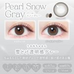【パールスノーグレー】Ever Color 1day Natural 1day エバーカラーワンデーナチュラル ワンデー 1箱20枚入り[AISEI] 画像3