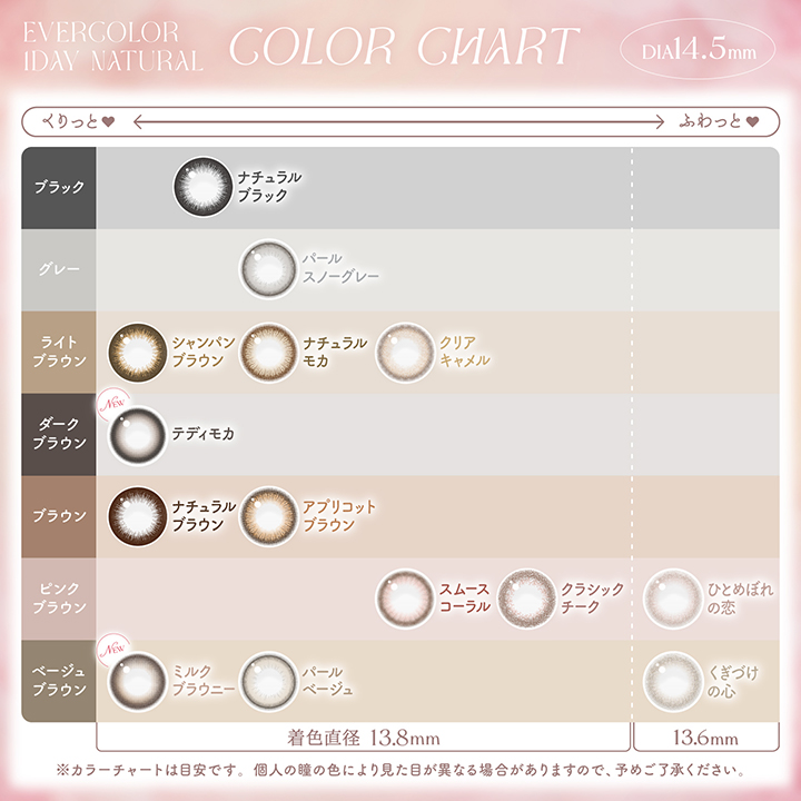 【テディモカ】Ever Color 1day Natural 1day エバーカラーワンデーナチュラル ワンデー 1箱20枚入り［AISEI］ 画像5