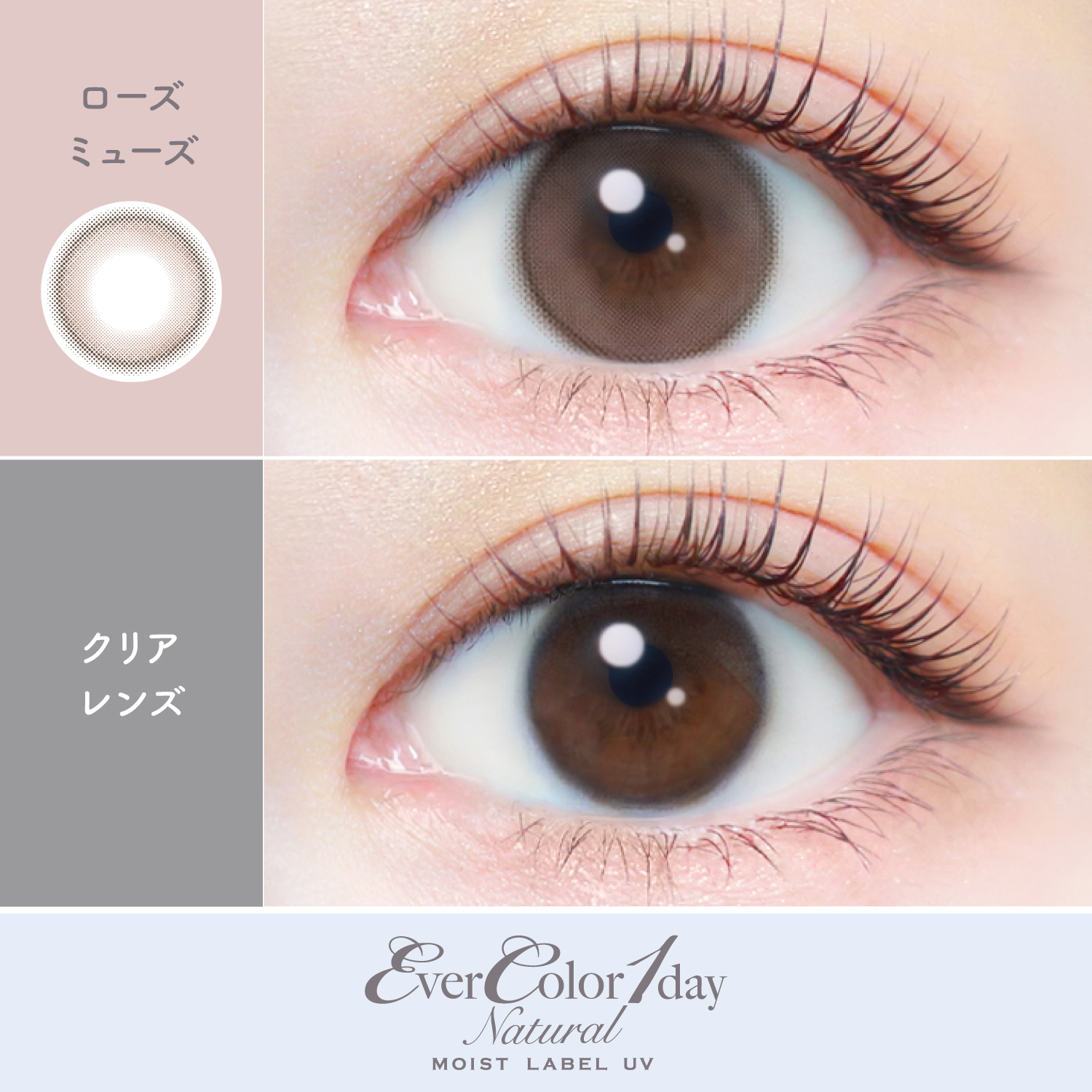 【ローズミューズ】EverColor1day Natural MOIST LABEL UV  エバーカラーワンデー ナチュラル モイストレーベル UV １箱20枚入り[AISEI] 画像2