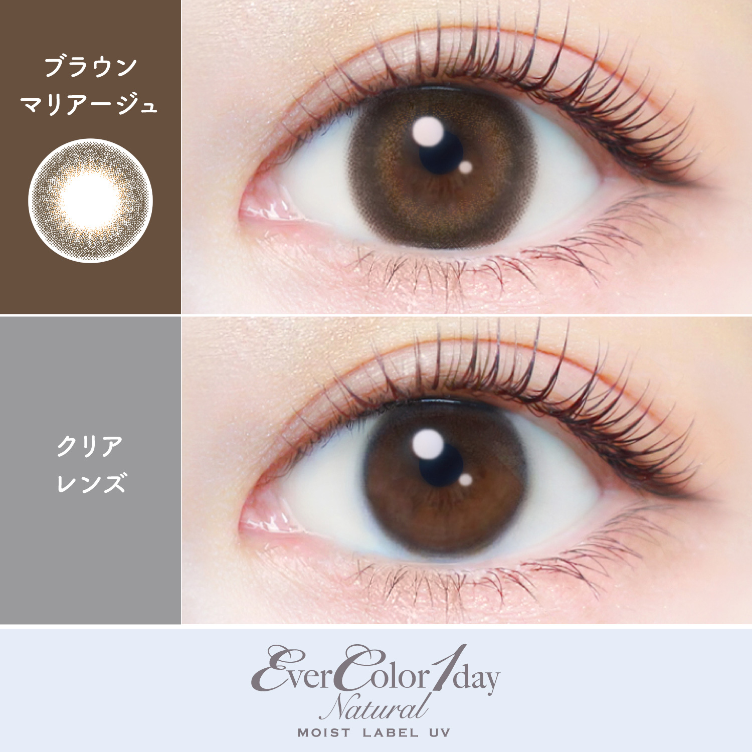 【ブラウンマリアージュ】 エバーカラーワンデー ナチュラル モイストレーベル UV 20枚[AISEI] 画像2