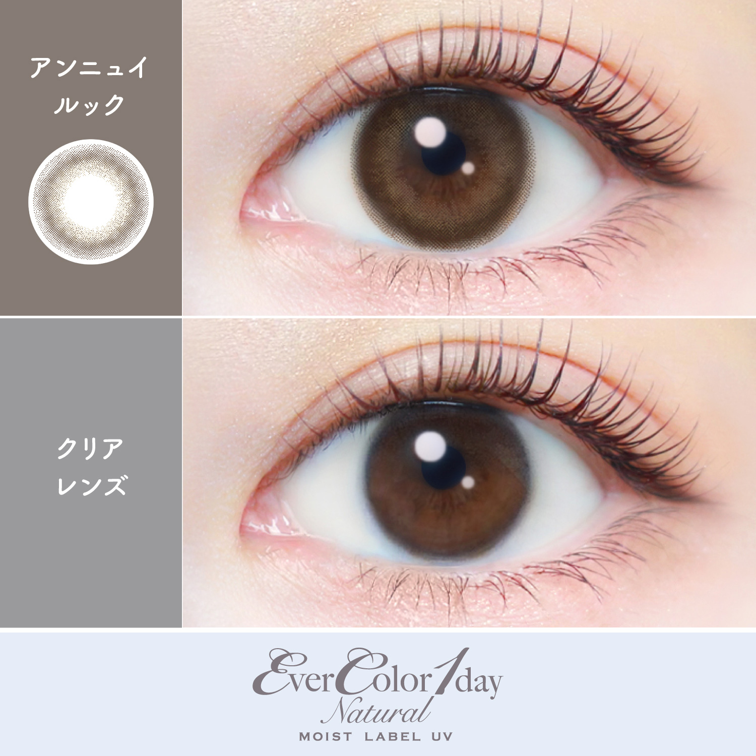 【アンニュイルック】エバーカラーワンデー ナチュラル モイストレーベル UV 20枚[AISEI] 画像2