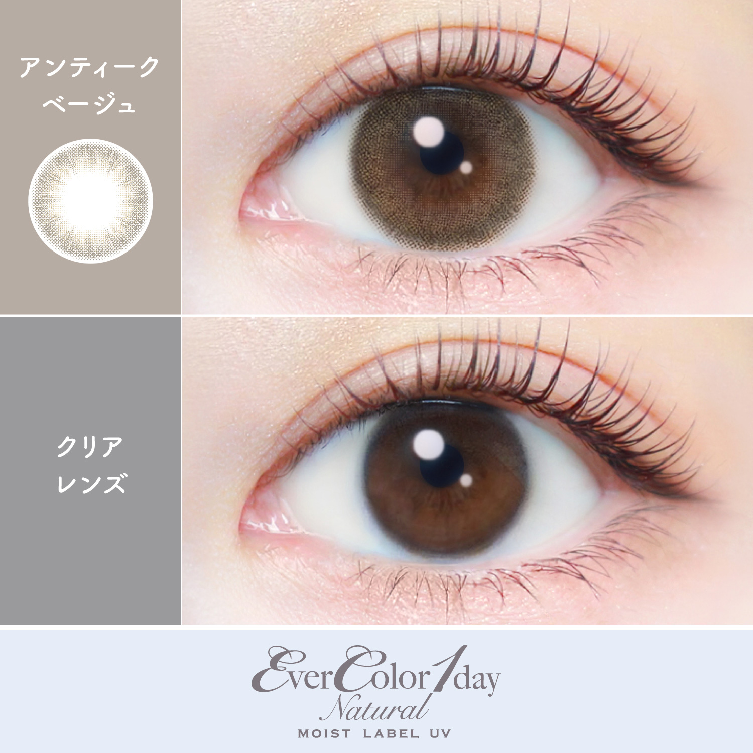 【アンティークベージュ】エバーカラーワンデー ナチュラル モイストレーベル UV 20枚[AISEI] 画像2