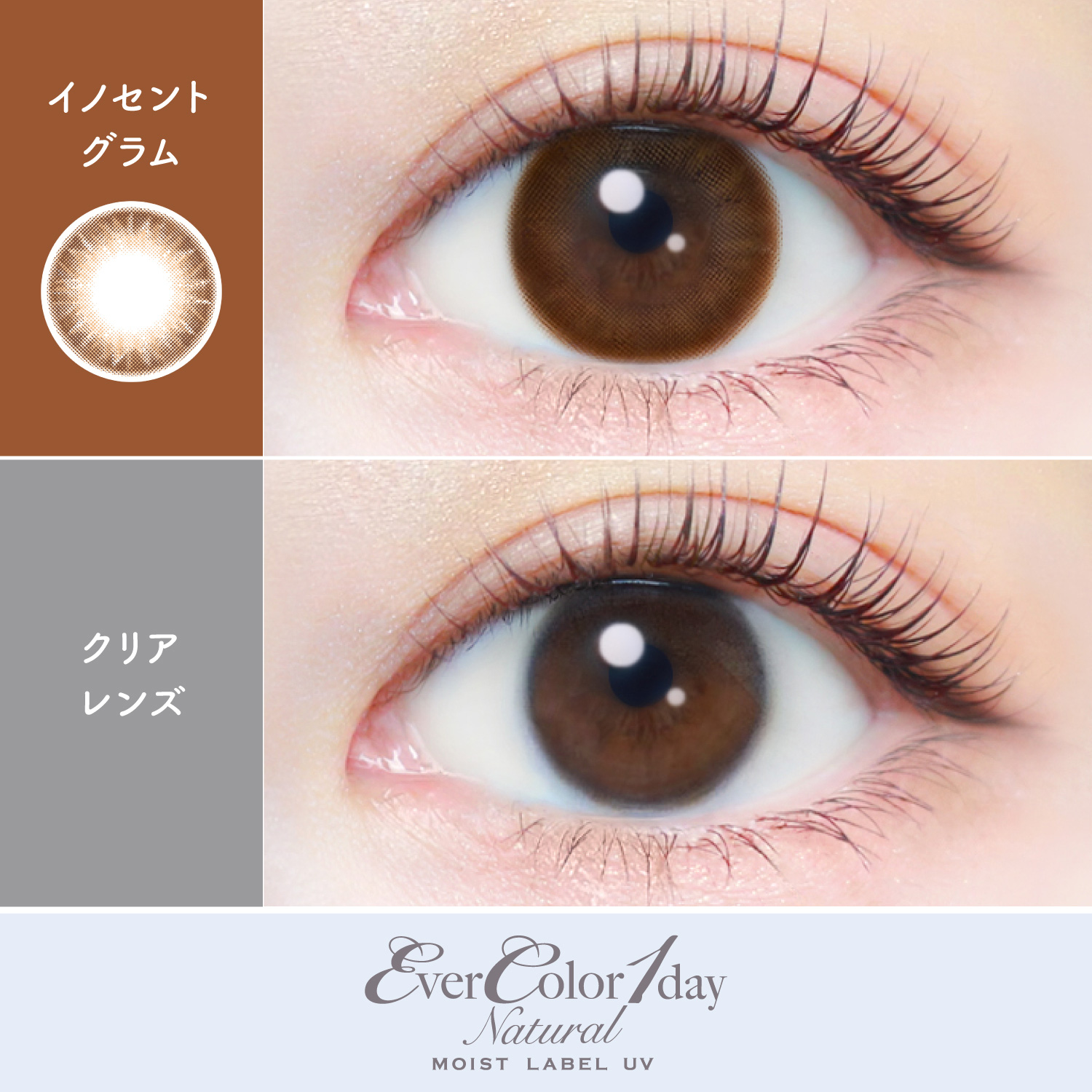 【イノセントグラム】エバーカラーワンデー ナチュラル モイストレーベル UV 20枚[AISEI] 画像2
