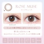 【ローズミューズ】EverColor1day Natural MOIST LABEL UV  エバーカラーワンデー ナチュラル モイストレーベル UV １箱20枚入り[AISEI] 画像3