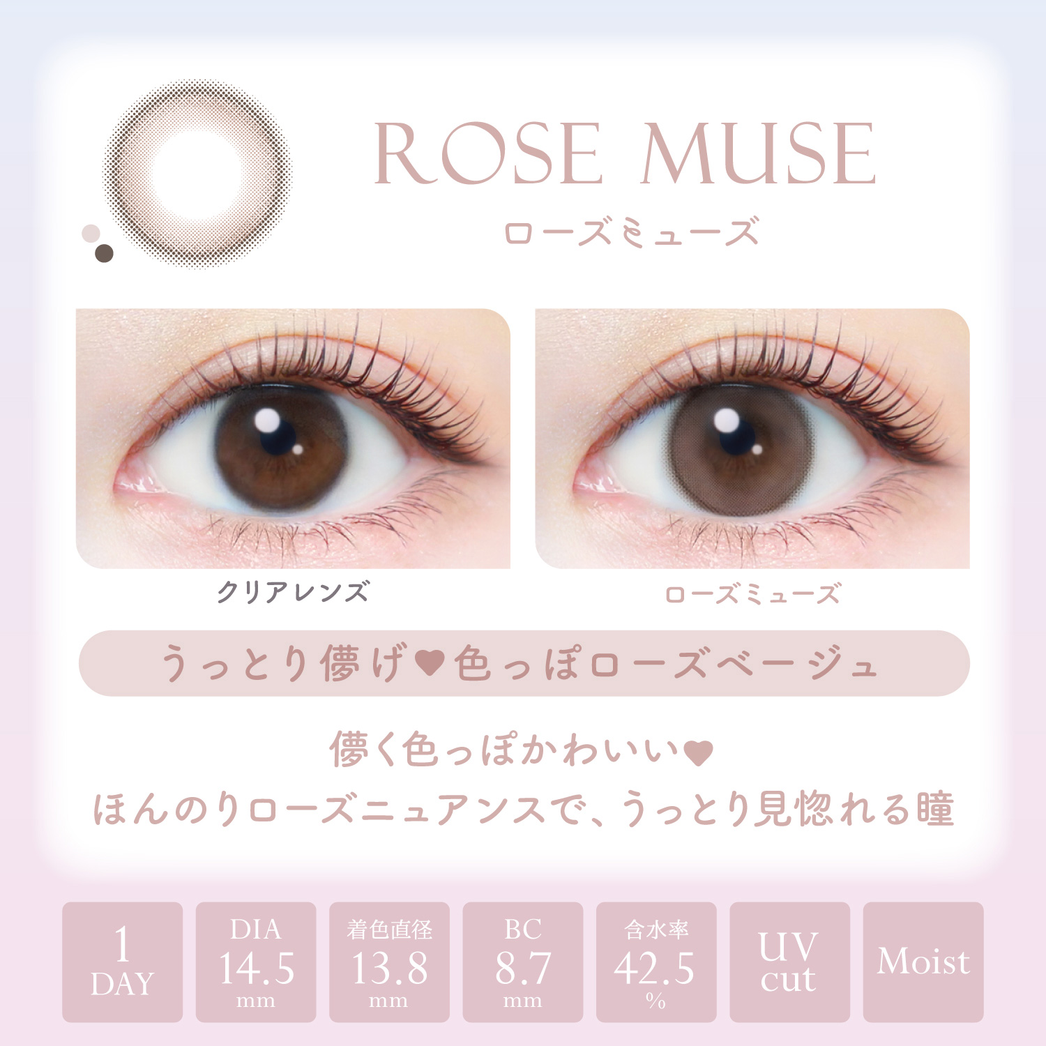 【ローズミューズ】EverColor1day Natural MOIST LABEL UV  エバーカラーワンデー ナチュラル モイストレーベル UV １箱20枚入り[AISEI] 画像3