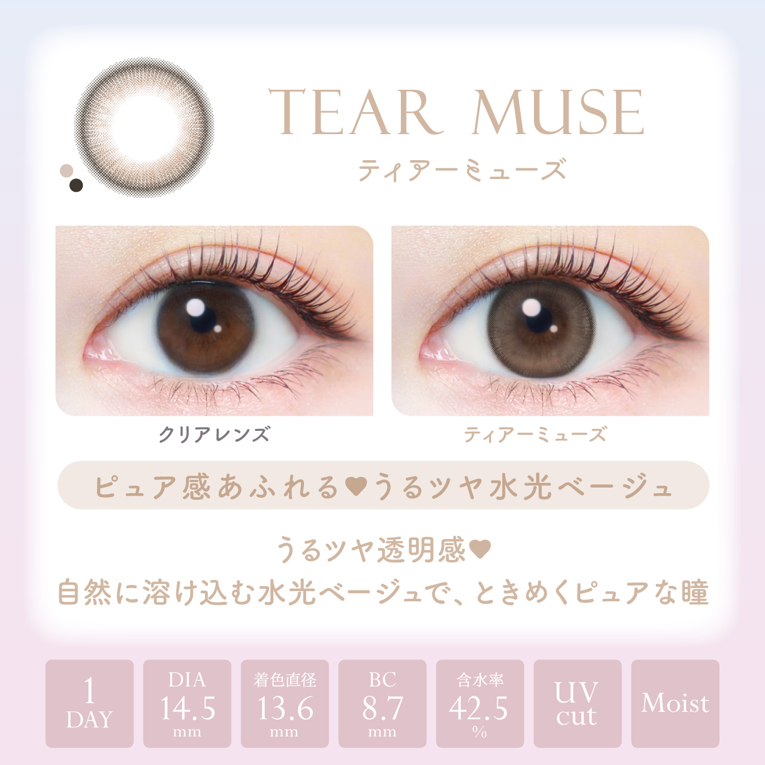 【ティアーミューズ】EverColor1day Natural MOIST LABEL UV  エバーカラーワンデー ナチュラル モイストレーベル UV １箱20枚入り[AISEI] 画像3