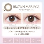 【ブラウンマリアージュ】 エバーカラーワンデー ナチュラル モイストレーベル UV 20枚[AISEI] 画像3