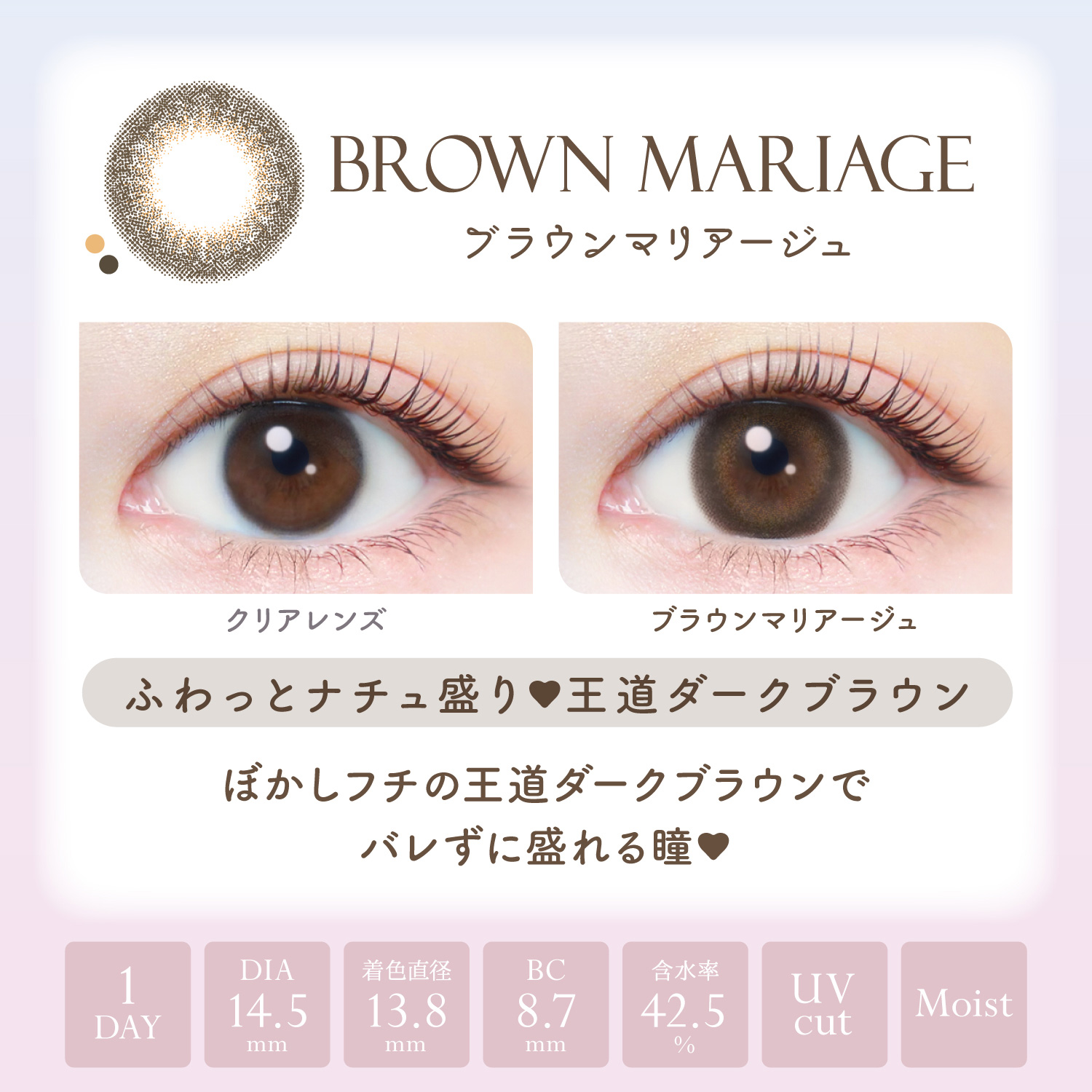 【ブラウンマリアージュ】 エバーカラーワンデー ナチュラル モイストレーベル UV 20枚[AISEI] 画像3