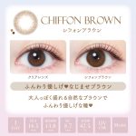 【シフォンブラウン】エバーカラーワンデー ナチュラル モイストレーベル UV 20枚[AISEI] 画像3