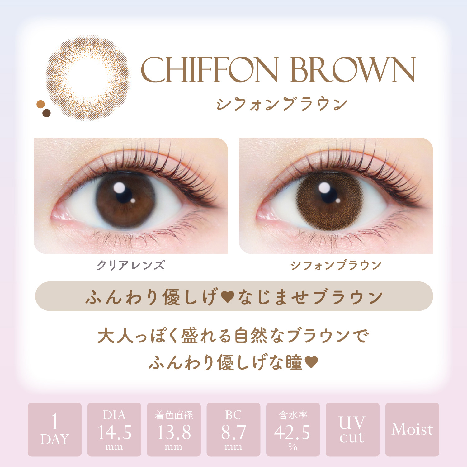 【シフォンブラウン】エバーカラーワンデー ナチュラル モイストレーベル UV 20枚[AISEI] 画像3