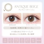 【アンティークベージュ】エバーカラーワンデー ナチュラル モイストレーベル UV 20枚[AISEI] 画像3