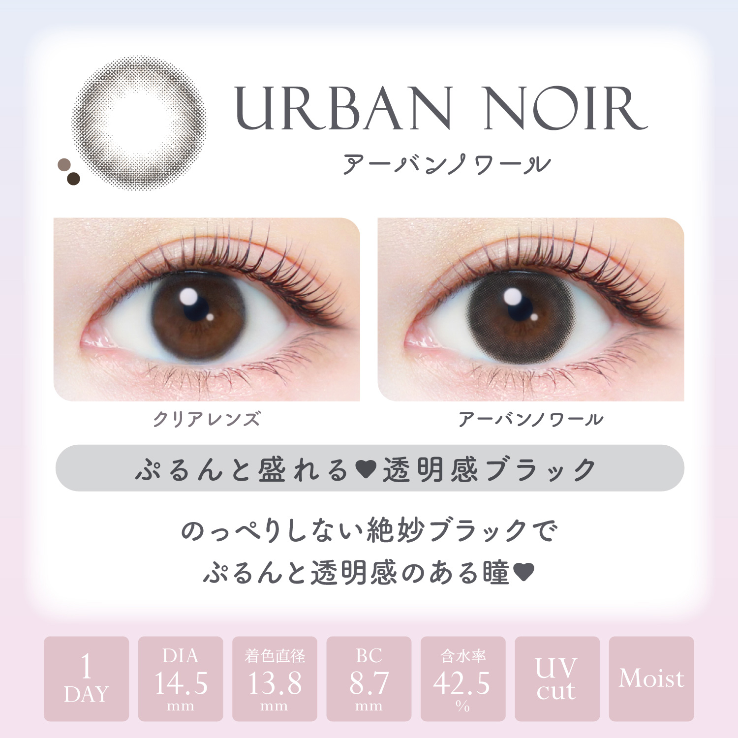 【アーバンノワール】エバーカラーワンデー ナチュラル モイストレーベル UV 20枚[AISEI] 画像3