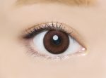 【カシスブラウン】AngelColor Bambi Series 1day エンジェル カラー バンビ シリーズ ワンデー 1箱10枚入り[RiseUP] 画像2