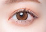 【シークレットベア】melotte1day メロットワンデー 1箱10枚入り[T-Garden] 画像2