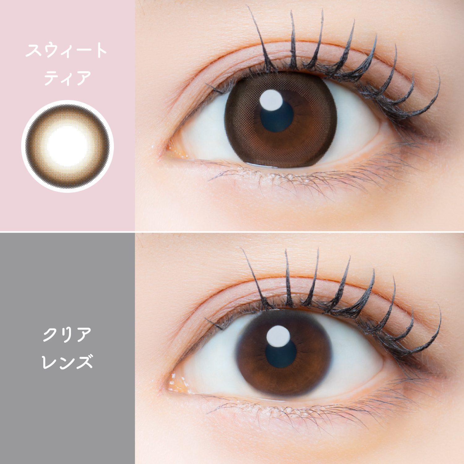 【スウィートティア】EYE GENIC Monthly アイジェニック マンスリー 1枚[AISEI] 画像2