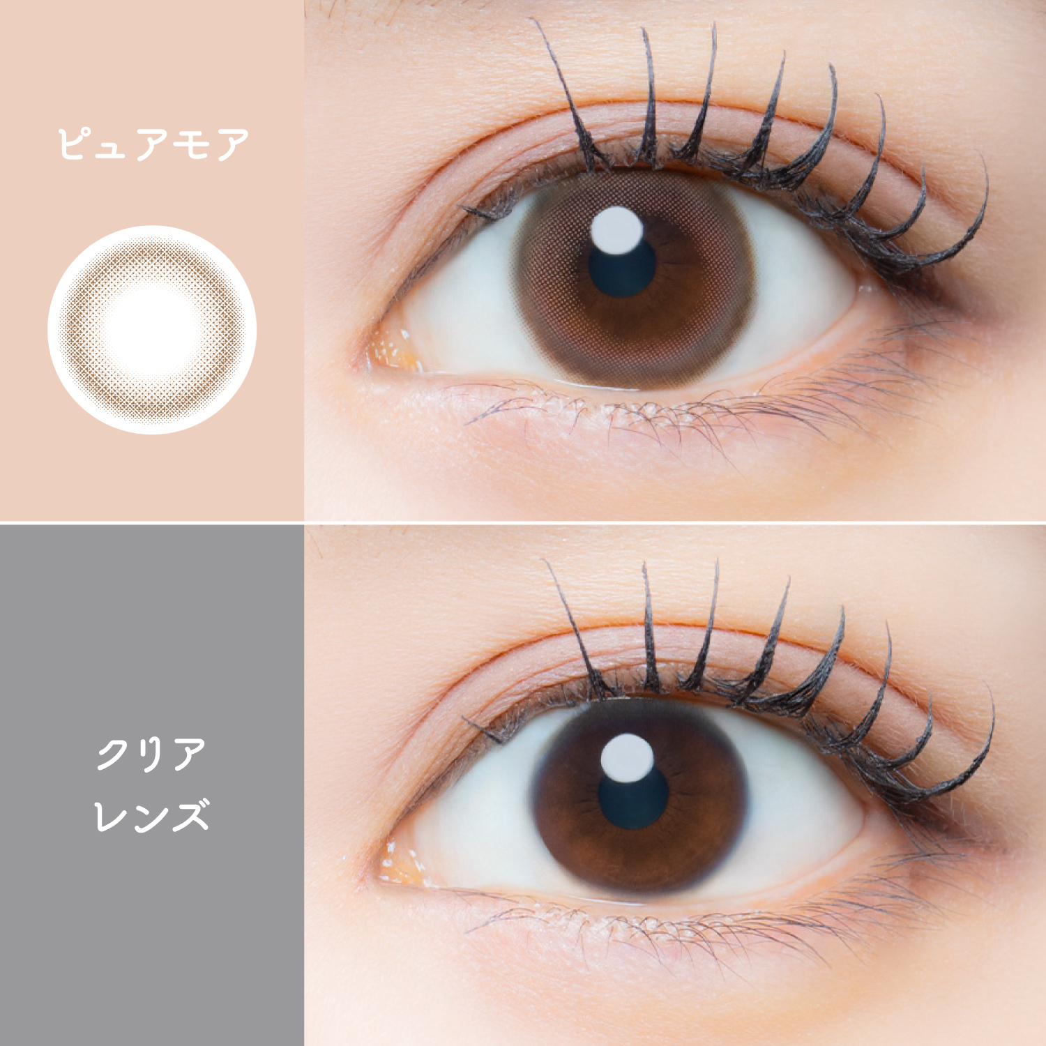 【ピュアモア】EYE GENIC Monthly アイジェニック マンスリー 1枚[AISEI] 画像2