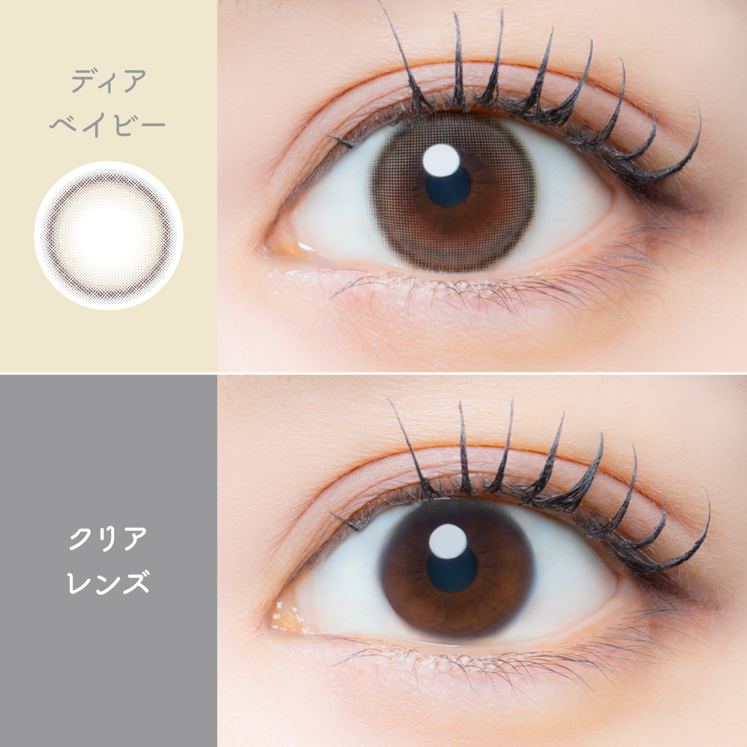 【ディアベイビー】EYE GENIC Monthly アイジェニック マンスリー 1枚[AISEI] 画像2