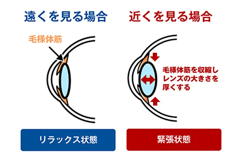 「遠く」を見ましょう