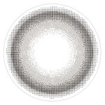 【ごまぷりん】treatee 1day とりーてぃー ワンデー 1箱10枚入り[アミジェス] 画像3