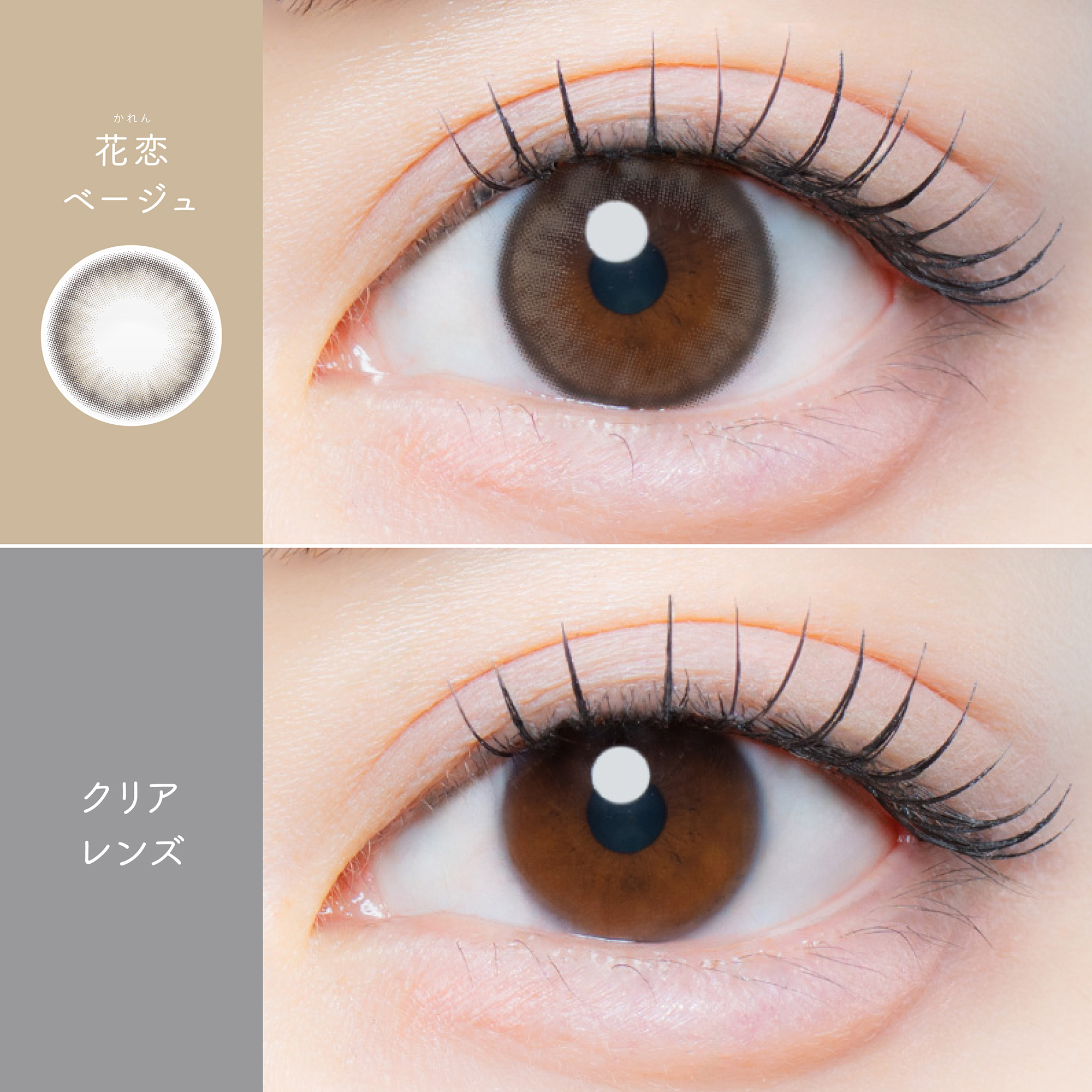 【花恋ベージュ】Kaica 1day カイカ ワンデー 1箱10枚入り［AISEI］ 画像4