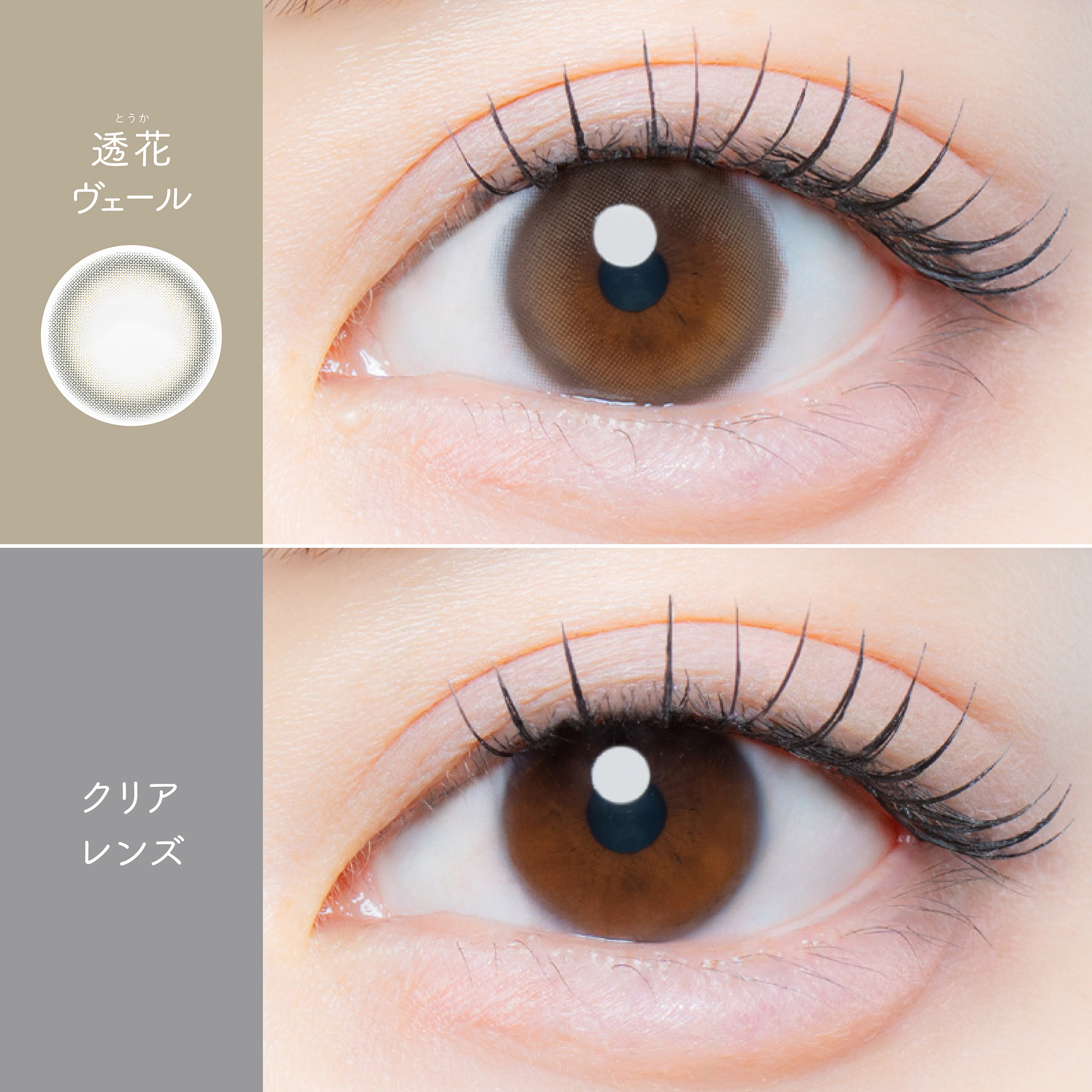【透花ヴェール】Kaica 1day カイカ ワンデー 1箱10枚入り［AISEI］ 画像4