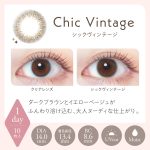 【シックヴィンテージ】LALISH レリッシュ 10枚[AISEI] 画像3