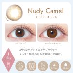 【ヌーディキャメル】LALISH レリッシュ 10枚[AISEI] 画像3