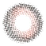 【モウタンブラウン】VILLEGE 1day ヴィレジェ ワンデー 1箱10枚入り［双葉貿易］ 画像3