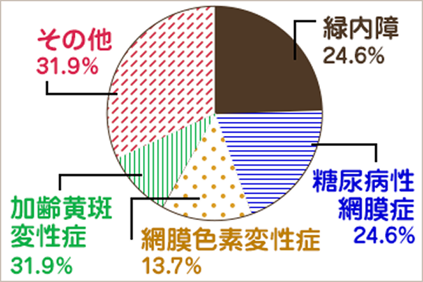 日本人の主な失明原因