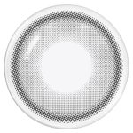 【ルーナーグレー】メイリールーナー1day 10枚 画像3