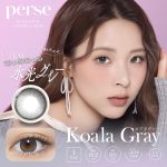 【コアラグレー】perse 1day パース ワンデー 1箱10枚入り[PIA]