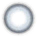 【しめさば】treatee 1day とりーてぃー ワンデー 1箱10枚入り[アミジェス] 画像3