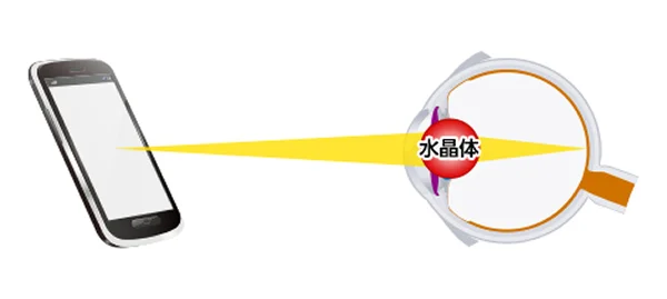 近くにピント合わせをします