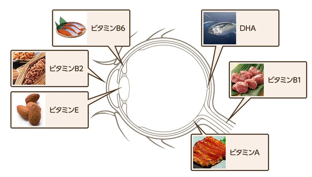 目にいい食べ物