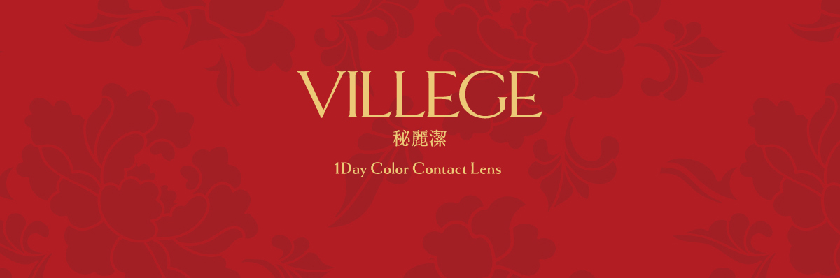 【モウタンブラウン】VILLEGE 1day ヴィレジェ ワンデー 1箱10枚入り［双葉貿易］ 画像4