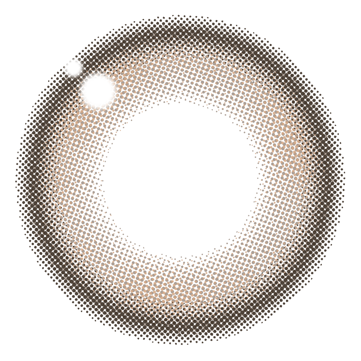 【カフェラテローズ】ウィンクゥー1day10枚 画像3